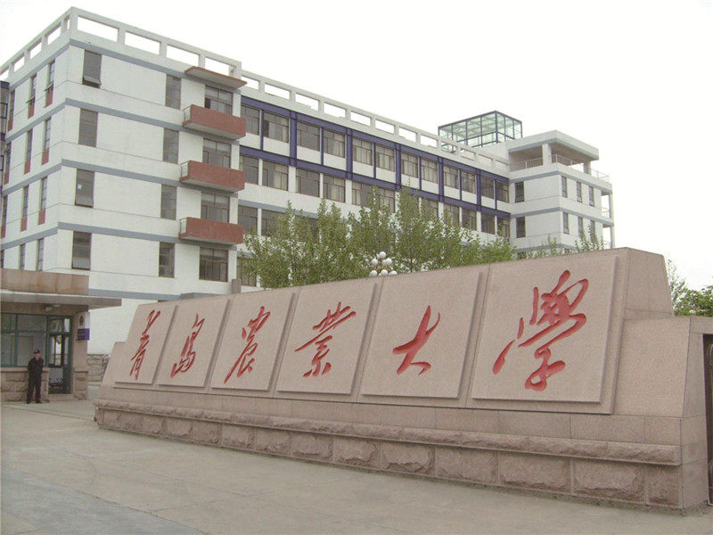 青岛农业大学（山东）